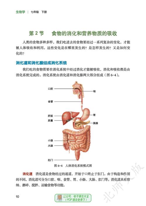 2025七年级下册生物