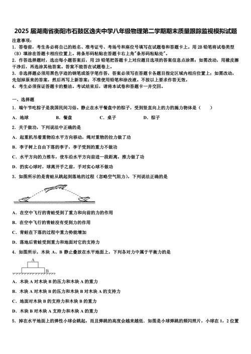 2025八年级物理试卷