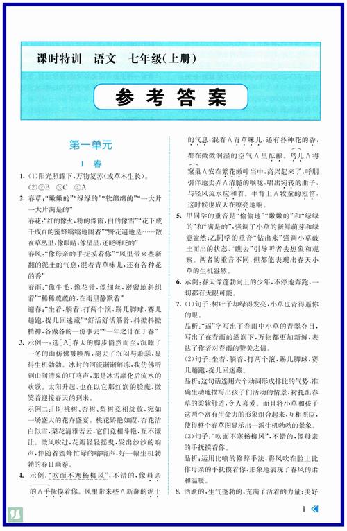 语文语文特训答案七年级