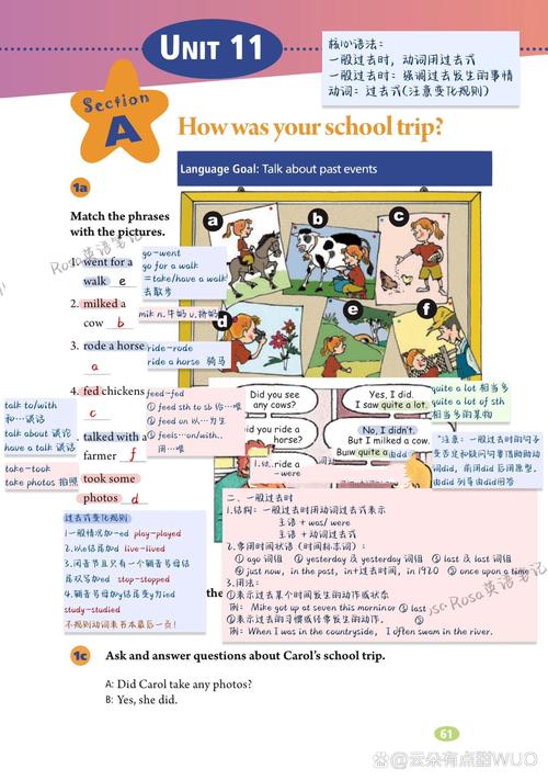 七年级下册Unit11核心考点有哪些？