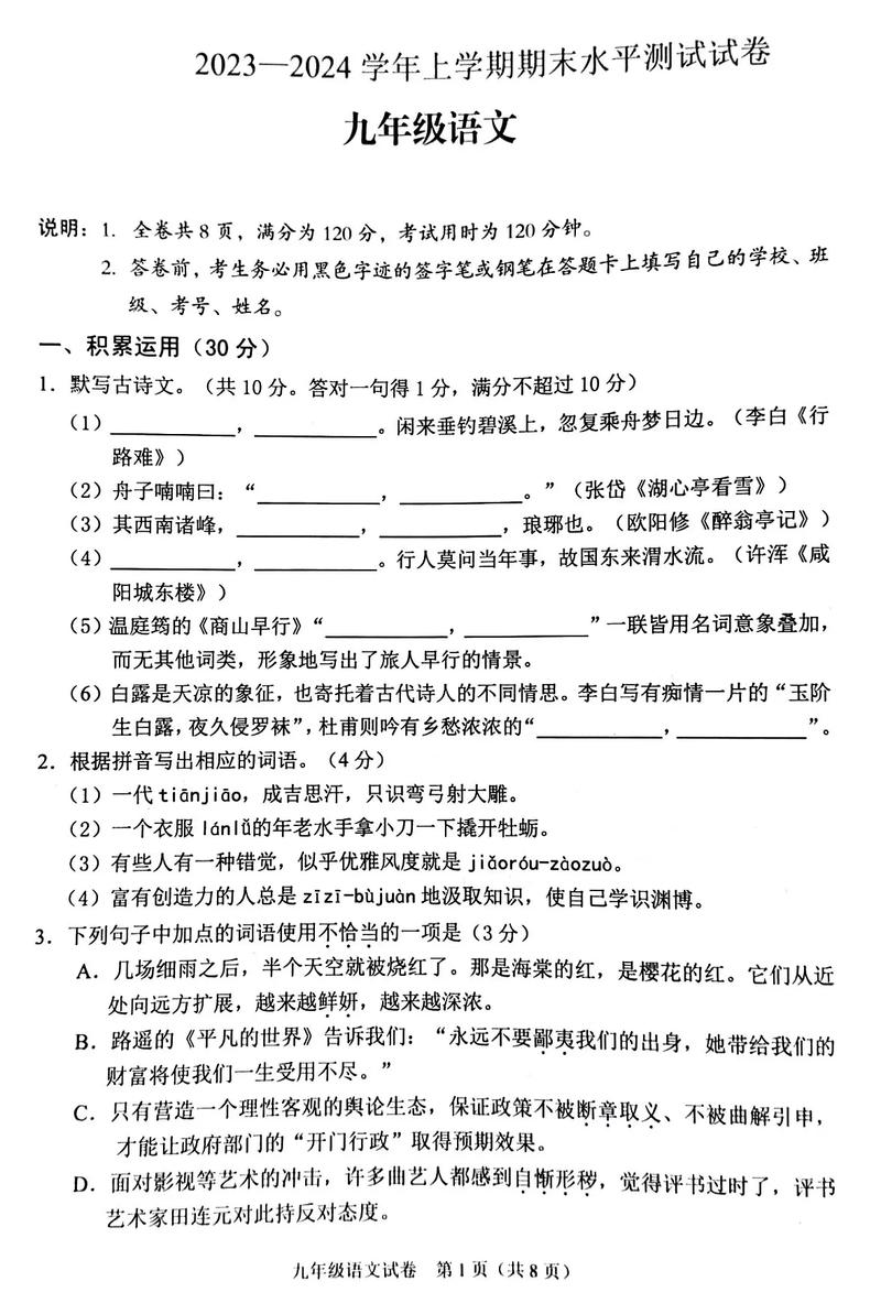 九年级语文综合试题 九