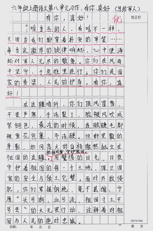 我眼中的兵团人 作文