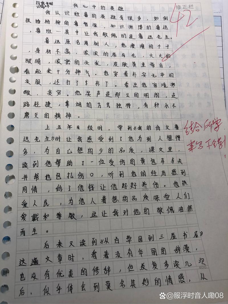 我眼中的兵团人 作文