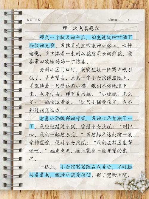 那一次我最感动的作文