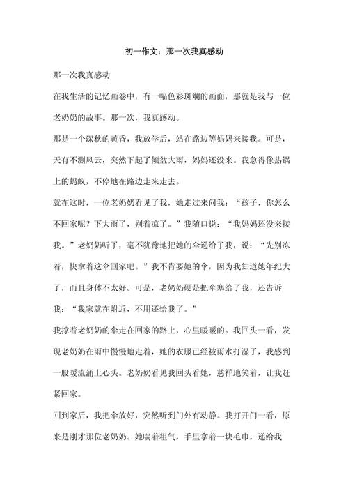 那一次我最感动的作文