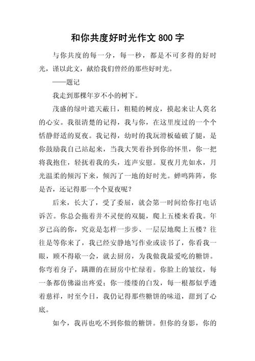 共度美好时光初三作文