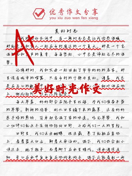 共度美好时光初三作文