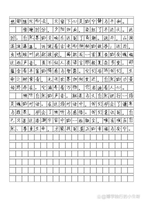 铃声响过之后初中作文