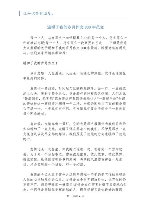 爱温暖了我的岁月作文