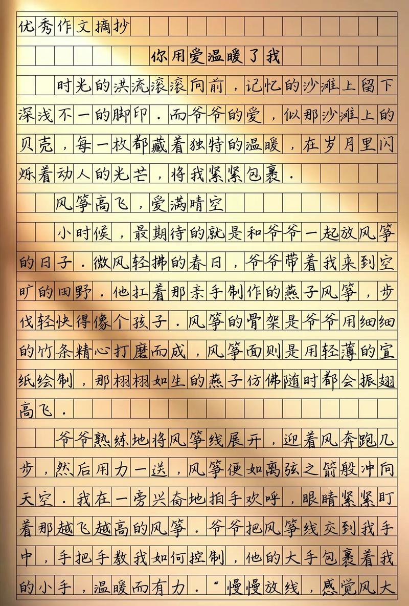 爱温暖了我的岁月作文