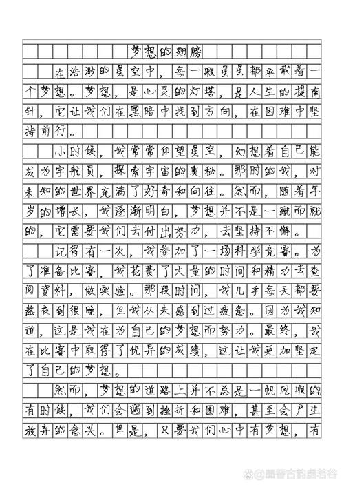 2008中考满分作文