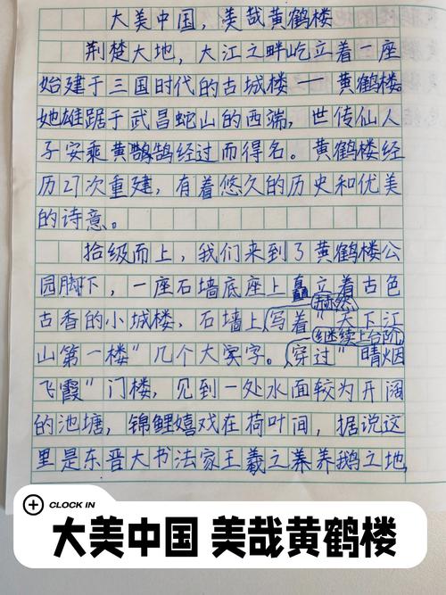 可是你没有半命题作文