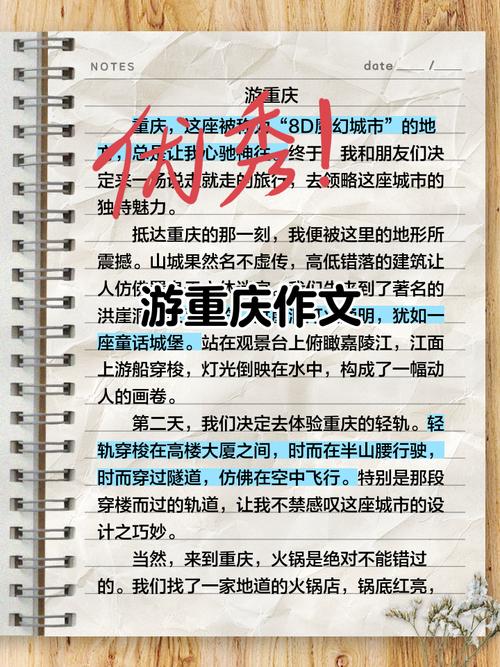 重庆二卷作文2025