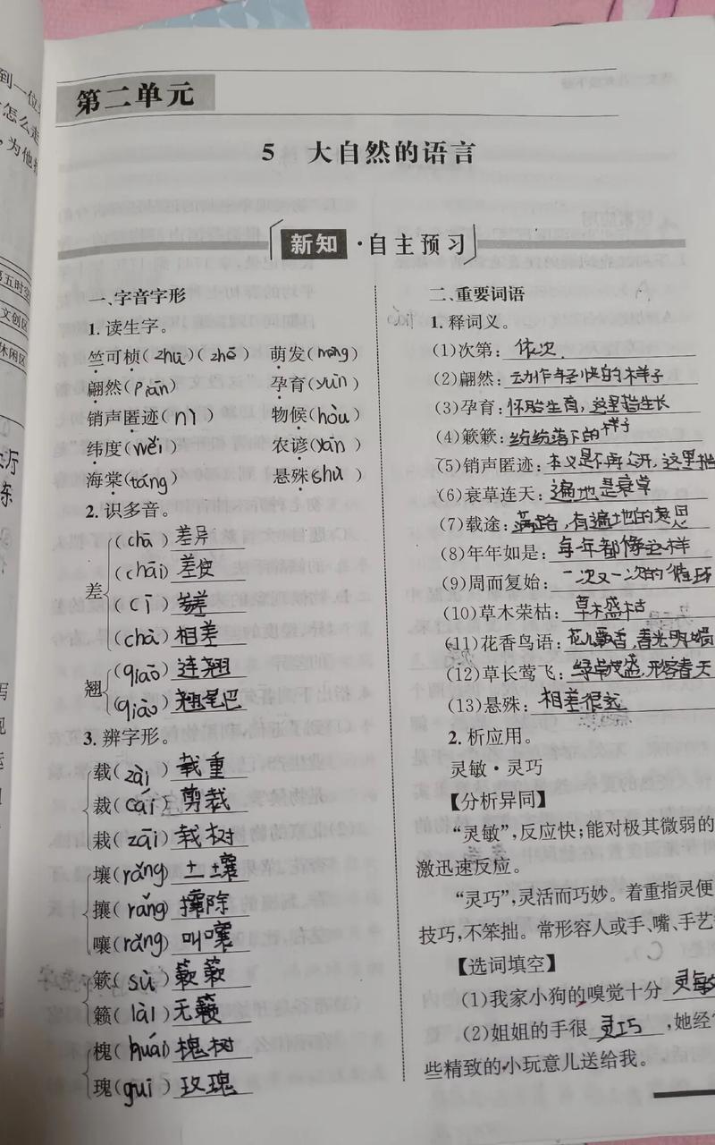 八年级下册语文课堂答案