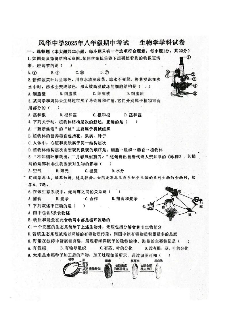 七年级生物下册期中试卷