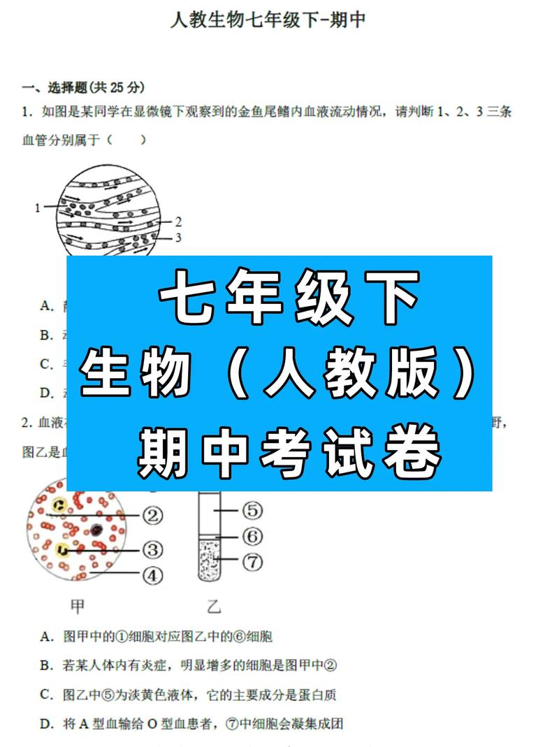 生物七年级下册期中试卷