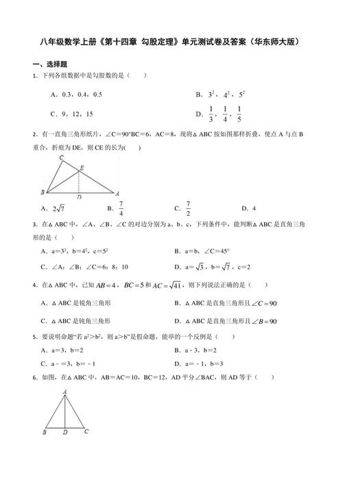 八年级上册数学试卷分析