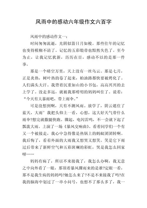 感谢那场风雨满分作文