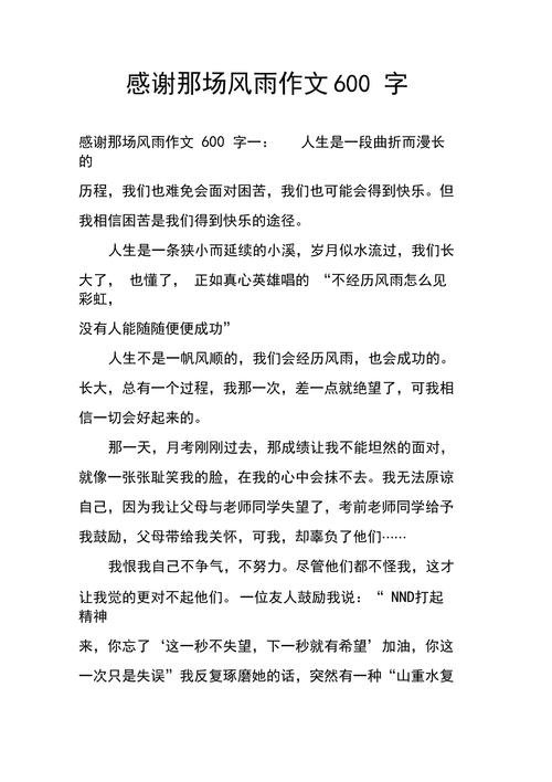 感谢那场风雨满分作文