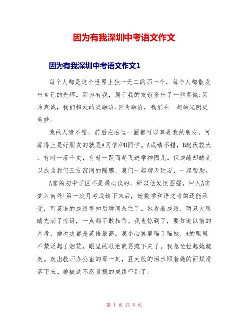 2011深圳中考作文