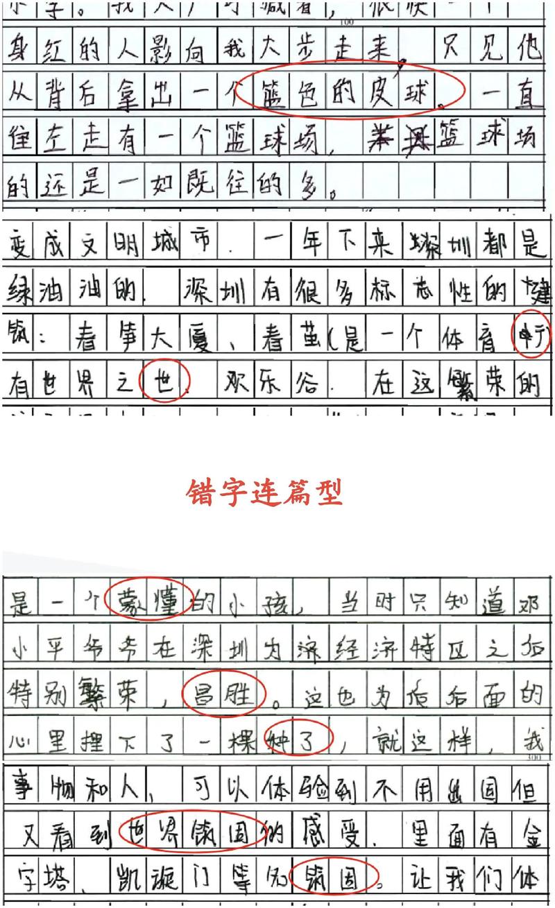 2011深圳中考作文
