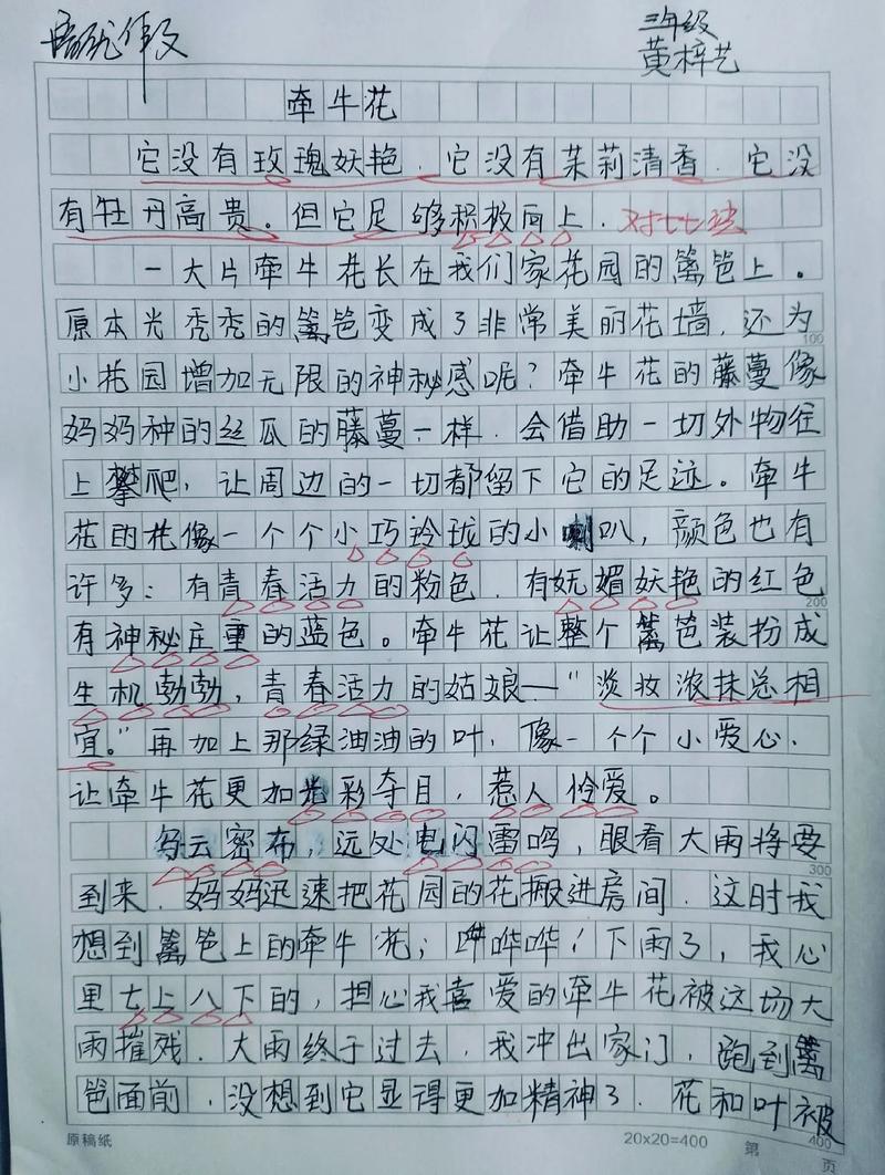 每一种草都会开花吗?