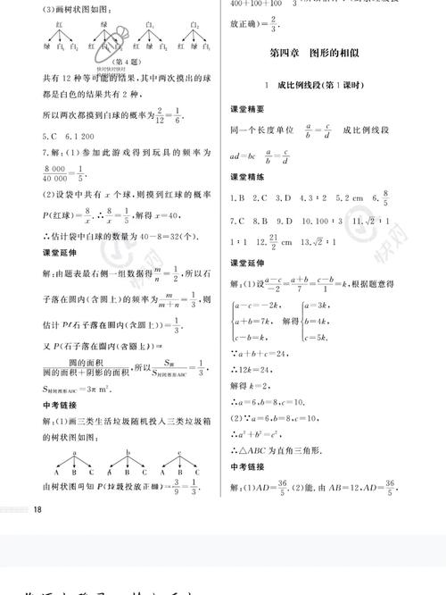 九年级上册补充习题答案