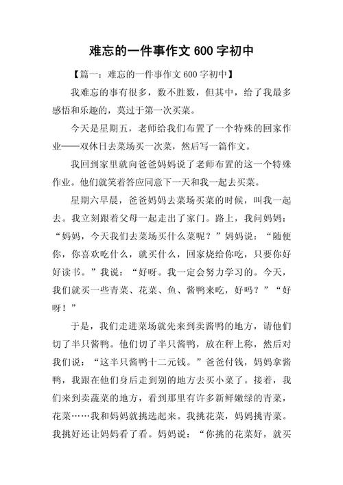 初三作文难忘的一件事