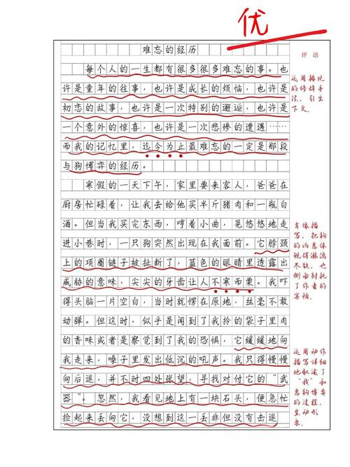 我经历过的都值得作文