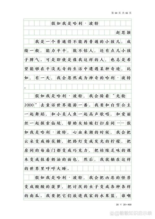 我终于说了公道话作文