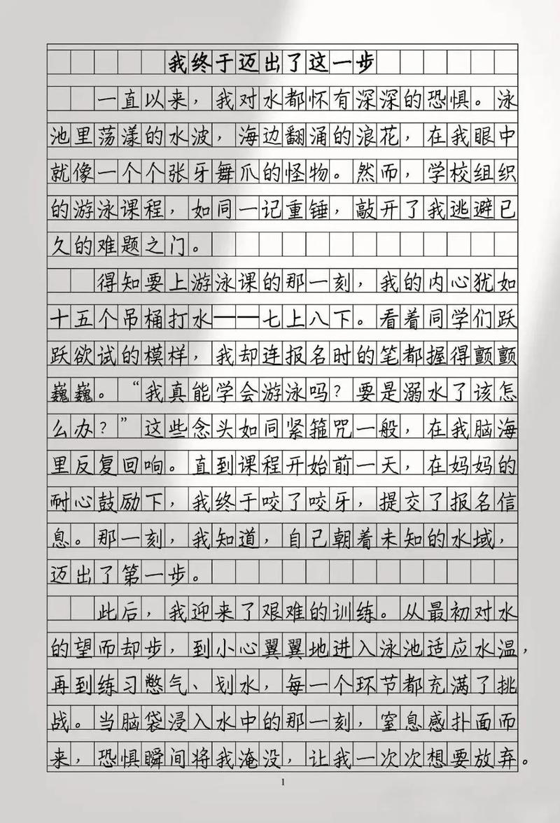 我终于说了公道话作文