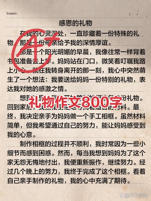 800字初中作文,礼物藏着什么故事?