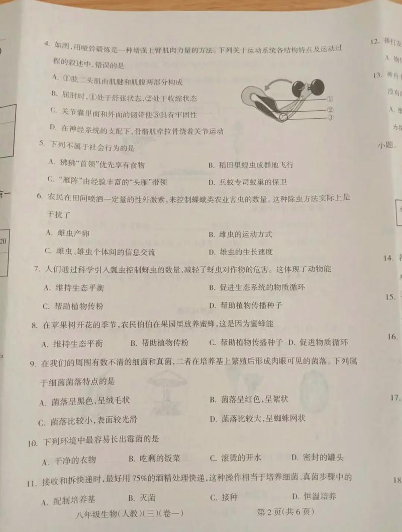 八年级上册期中试卷生物