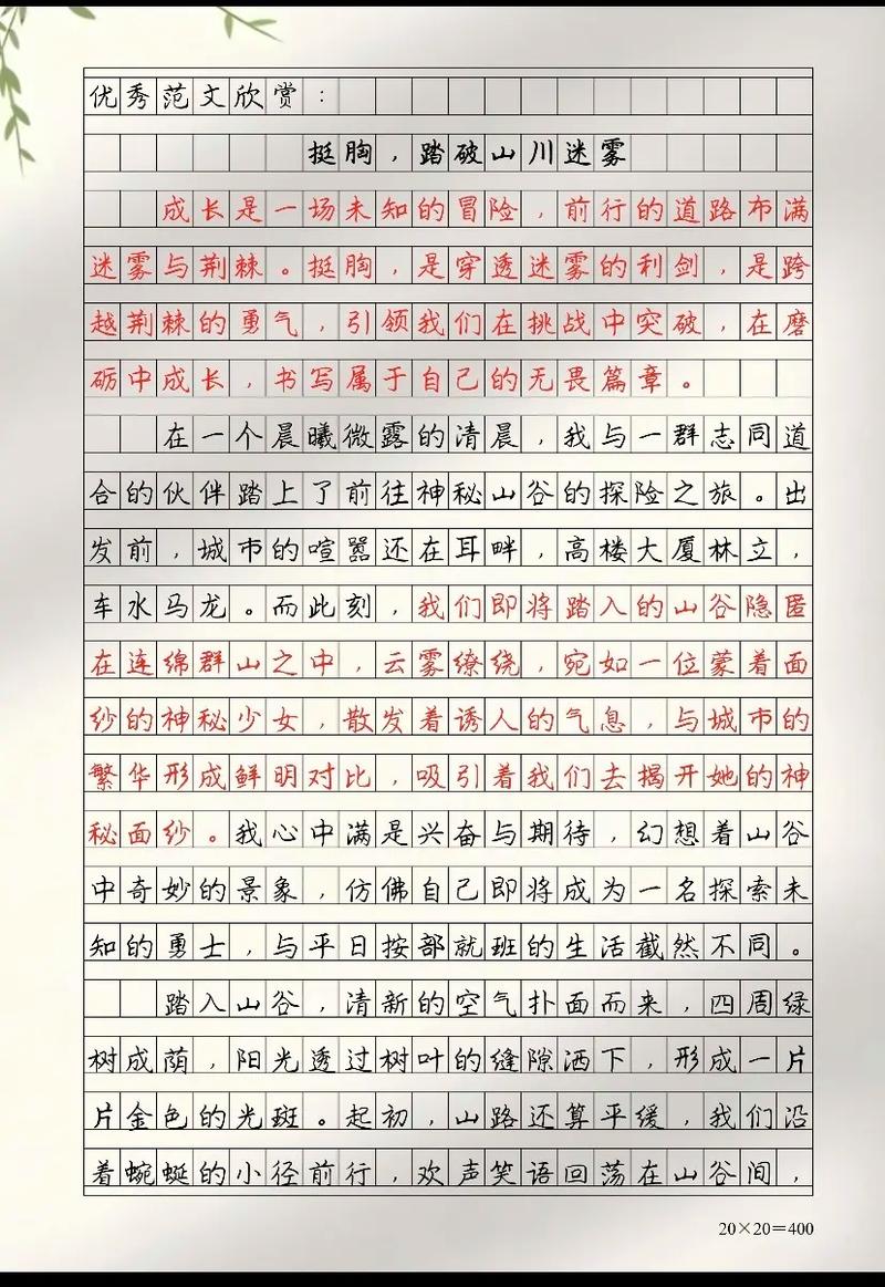 山东2025考题作文会聚焦什么主题？