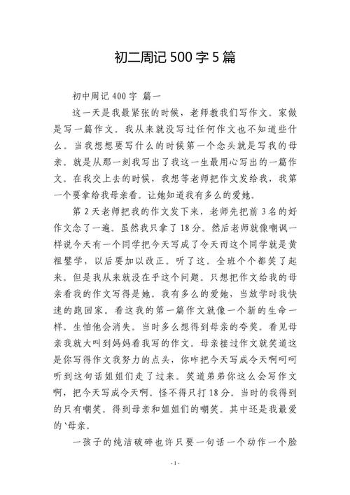作文网 初中500字