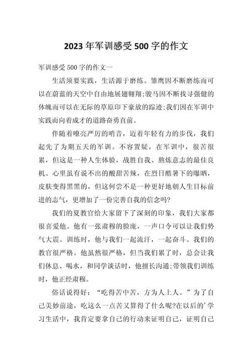 高中军训作文500字