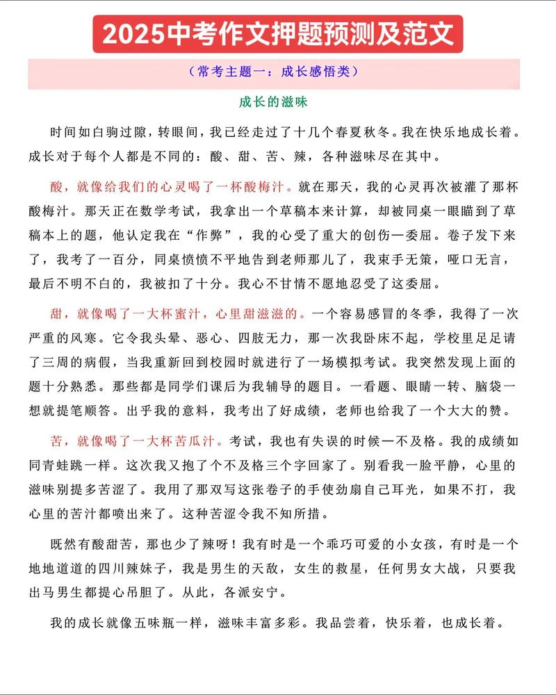 安徽2025中考作文