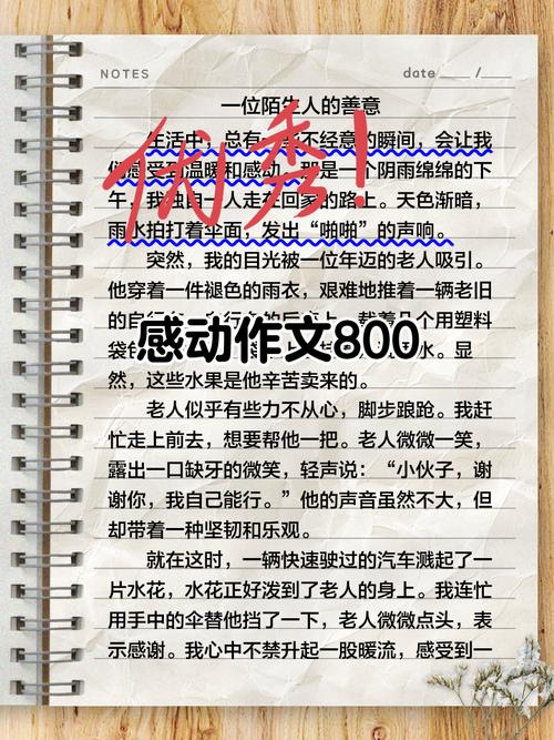 感动就在身边作文初三