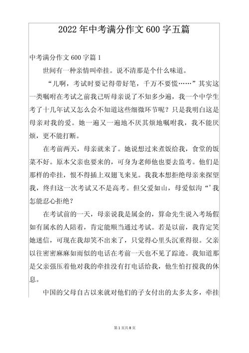中考之后作文600字