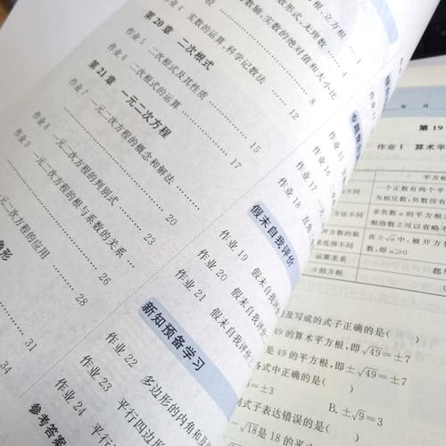 八年级寒假作业数学答案