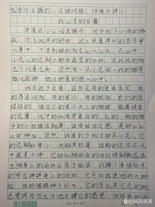 我心灵的甘露作文开头