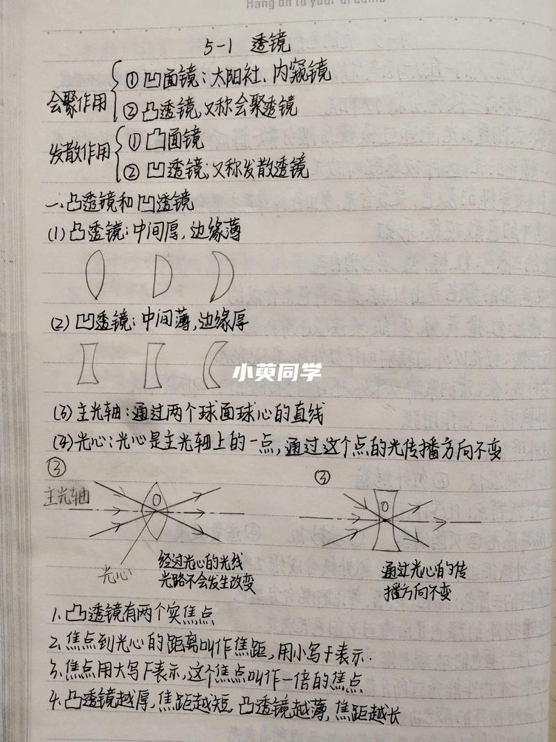 八年级物理透镜及其应用