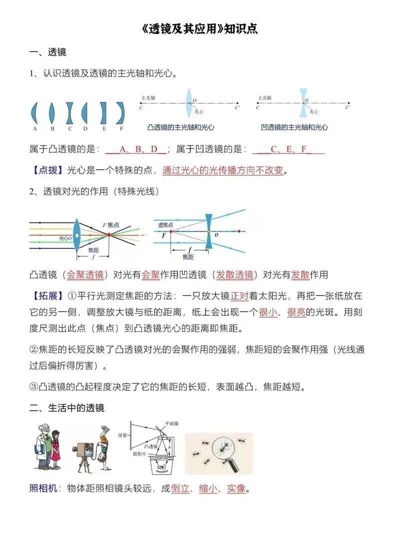 八年级物理透镜及其应用
