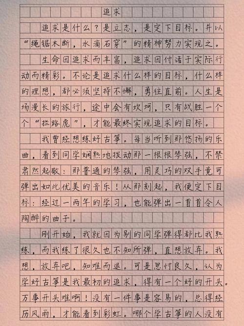 值得追求作文600字