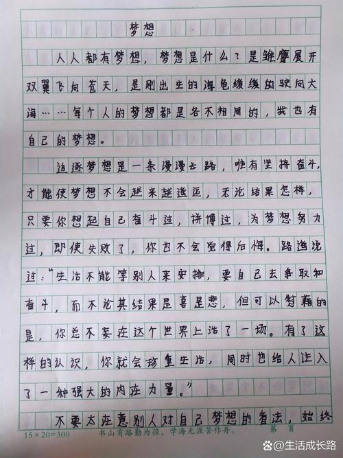 值得追求作文600字