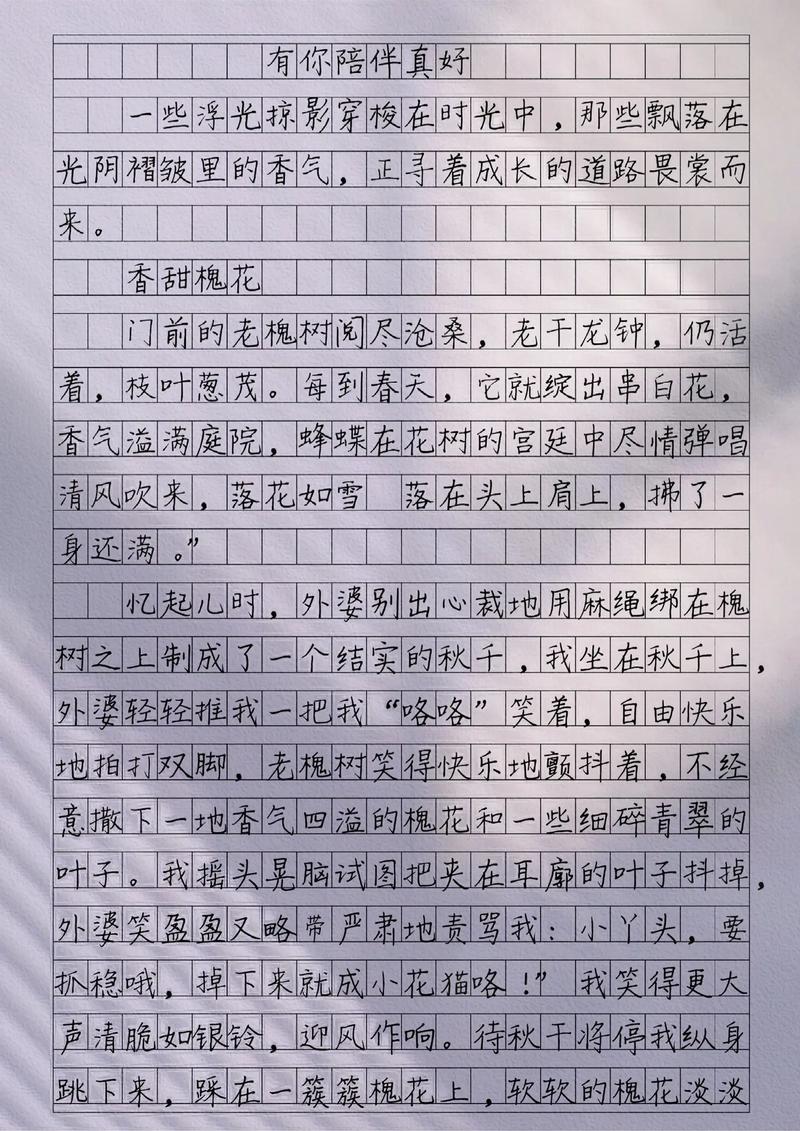 以陪伴为题写一篇作文