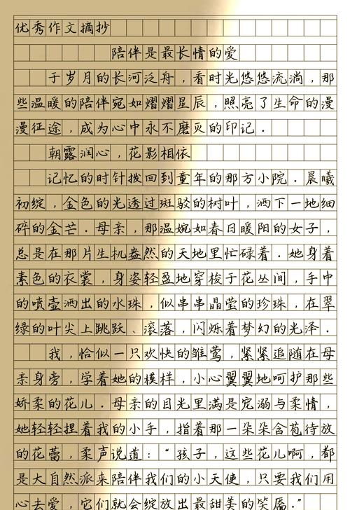 以陪伴为题写一篇作文