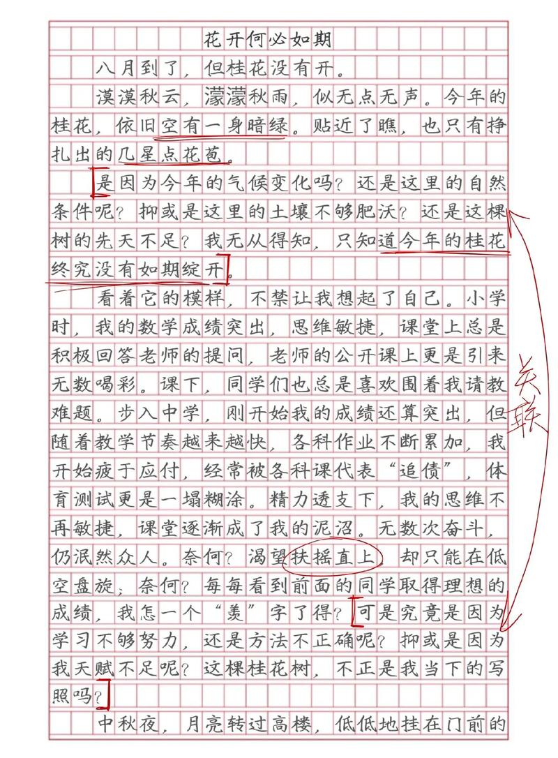 语文中考满分作文范文