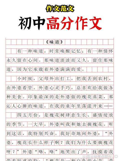 语文中考满分作文范文