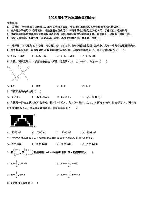 2025七年级期末试卷考什么？